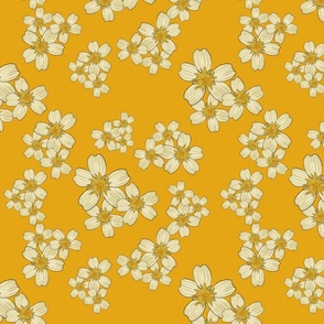 Field of beige Daisies - yellow background - small