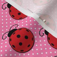 Medium Scale Ladybug Pickleballs on Pink Polkadots