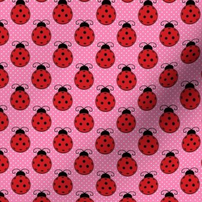 Small Scale Ladybug Pickleballs on Pink Polkadots