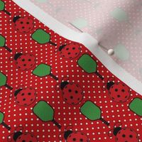 Small Scale Ladybug Pickleballs and Paddles on Red Polkadots