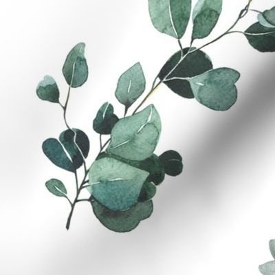 Sage Green Eucalyptus Watercolor