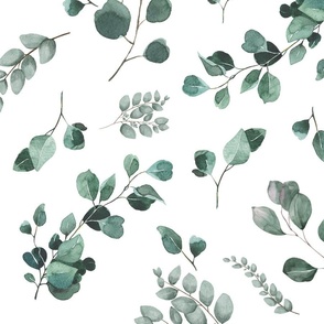 Sage Green Eucalyptus Watercolor