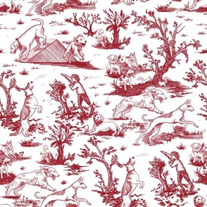 Large Dog Park Toile de Jouy, Red and White