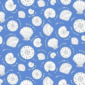 Shells || White Shells on Mid Blue || Summer Cove Collection by Sarah Price