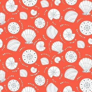 Shells || White Shells on Red || Summer Cove Collection by Sarah Price