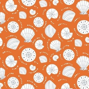 Shells || White Shells on Orange || Summer Cove Collection by Sarah Price
