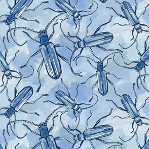 blue beetles