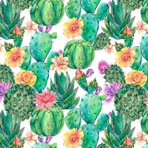 Naturally Tropical, Watercolor Cacti and Floral Delights