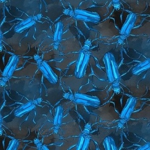 blue-gray beetles