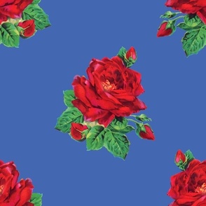 Red vintage roses on royal blue - jumbo 