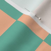 Mint Cold Green & Peach Checkerboard