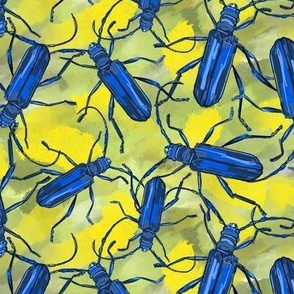 blue beetles on yellow-green - large scale