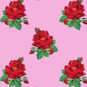 Red vintage roses on pink - small