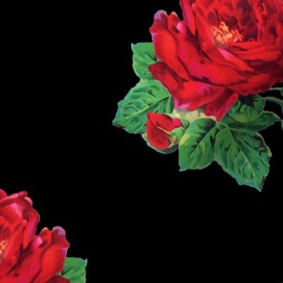 Red vintage roses on black - jumbo