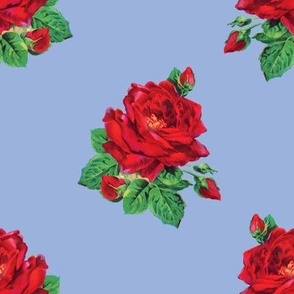 Red vintage roses on sky blue - large