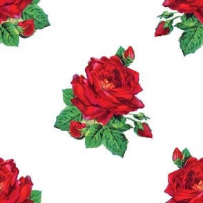 Red vintage roses on white - large