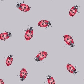 NZ Bugs Eleven Spotted Ladybug on Grey Beige