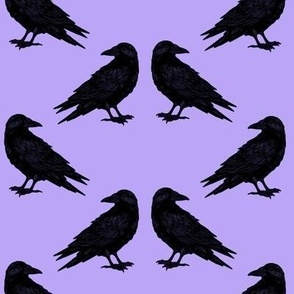 Ravin' Raven