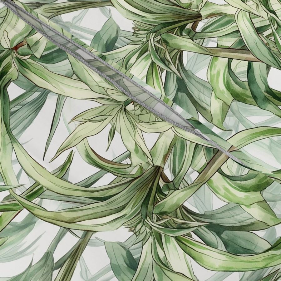 Watercolor Spider Plant (Light)