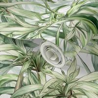 Watercolor Spider Plant (Light)