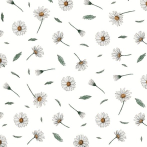 Daisies Flowers Minimalist | Watercolor | Medium