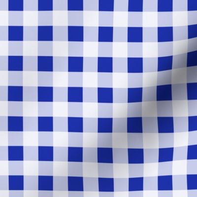 Vichy check Blue white Small scale