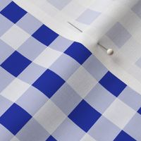 Vichy check Blue white Small scale