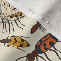 They creeps and they crawls (smaller 12") - a collection of hand drawn insects and bugs.