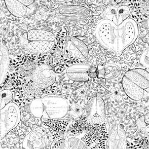 Doodle bugs in black and white - Color yourself - Medium scale