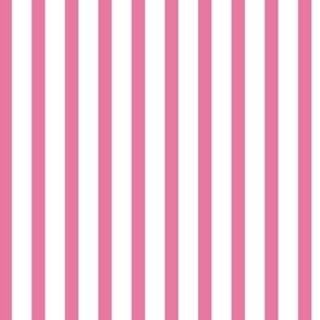 buble-gum-stripe pin stripe pink stripe