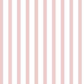 Boho-pink-stripe