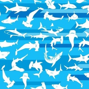 shark (medium) // great white shark // hammerhead shark // whale shark // tiger shark