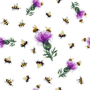 Thistle and bees on white