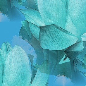 Lotus in the Clouds (Pantone Ultra-Steady)