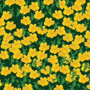 Maximalist Dense Yellow Buttercups on Black