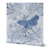 Moth Ridden Botanical ~ Blue & White