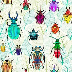 Beetles of the world