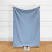 Pale-Cornflower-blue solid fabric coordinate