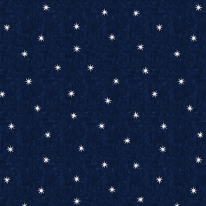 Magic Starry Night