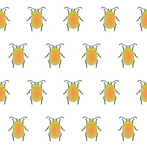 Iridescent Illustrated Hand Drawn Beetles on White