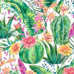 Naturally Tropical Flowers, Watercolor Cacti and Floral Delights on White