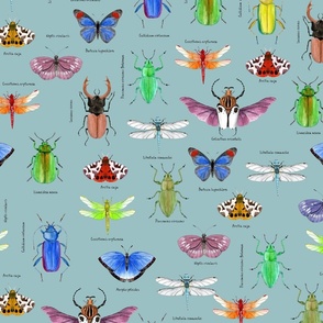 Watercolor beetles