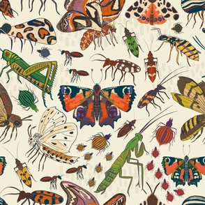 They creeps and they crawls  (large 24") a collection of hand drawn insects and bugs.