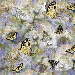 doodle-bug-swallowtails-butterflies-watercolor-Queen-Annes-Lace-blue-green-yellow-white-black