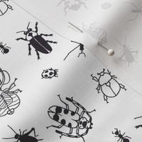 Crawling Bugs Doodle