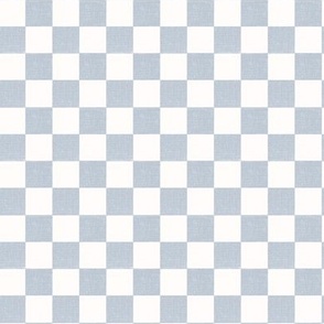 Checkered Textured  Denim