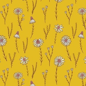 Delicate daisy flowers in mustard yellow - Small scale