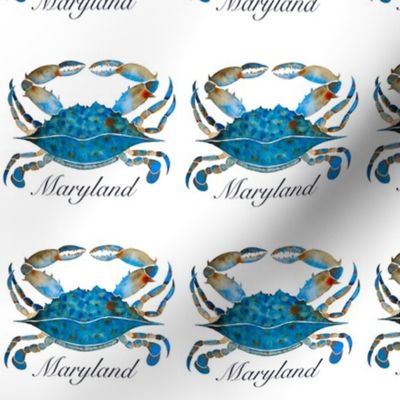 Maryland Blue Crabs 3.6" on White Background, 07