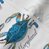 Maryland Blue Crabs 3.6" on White Background, 07