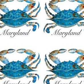 Maryland Blue Crabs on White Background, 07